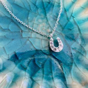 Horseshoe charm anklet on a turquoise flower shaped plate.