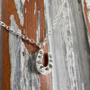Silver anklet with silver horse shoe pendant with eight white cubic zirconia gems around the face of it.