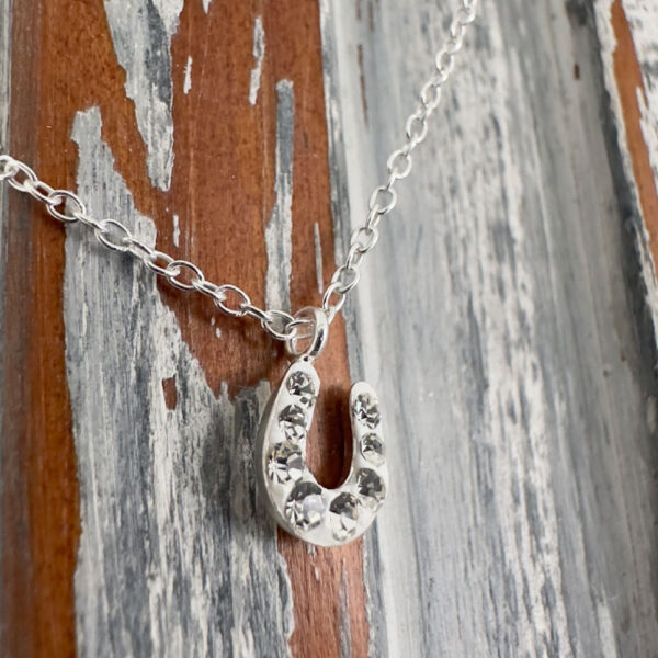 Silver anklet with silver horse shoe pendant with eight white cubic zirconia gems around the face of it.