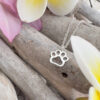Silver pawprint charm on a silver ankle bracelet. Displayed on whitewashed sticks with frangipani petals around.