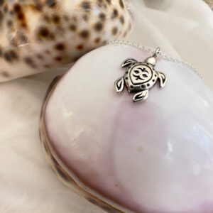 Beach chic anklet with a solid silver cute turtle pendant sitting on a pretty white shell.