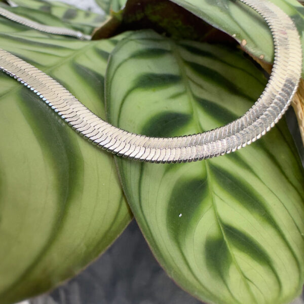 Sophisticated sterling silver snake chain anklet on a green leaf.