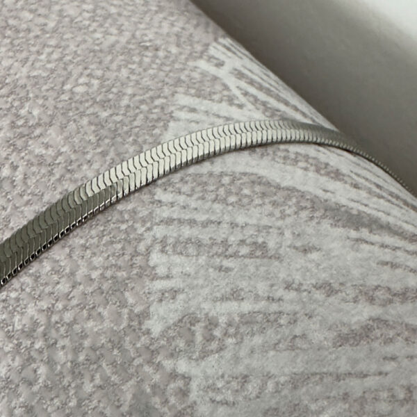 Elegant snake chain silver anklet.